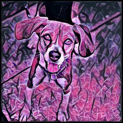 Picture of Harrier-Violet Femmes Mug