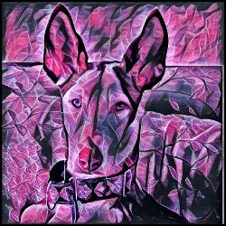 Picture of Ibizan Hound-Violet Femmes Mug
