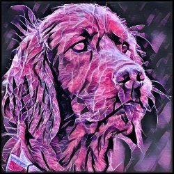 Picture of Irish Setter-Violet Femmes Mug