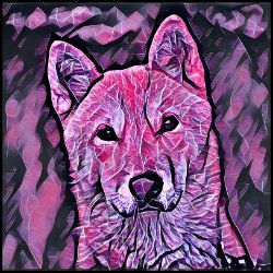 Picture of Jindo-Violet Femmes Mug