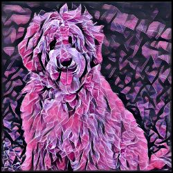 Picture of Labradoodle-Violet Femmes Mug
