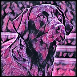 Picture of Labrador Retriever-Violet Femmes Mug