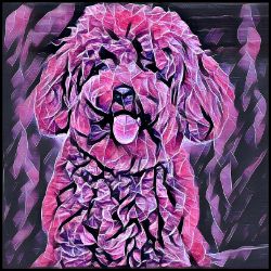 Picture of Miniature Poodle-Violet Femmes Mug