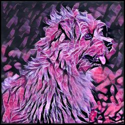 Picture of Norfolk Terrier-Violet Femmes Mug