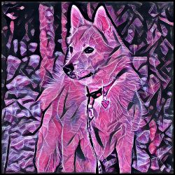 Picture of Norwegian Buhund-Violet Femmes Mug