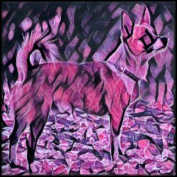 Picture of Norwegian Lundehund-Violet Femmes Mug