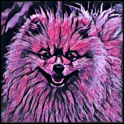 Picture of Pomeranian-Violet Femmes Mug