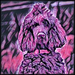 Picture of Poodle Standard-Violet Femmes Mug