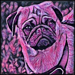 Picture of Pug-Violet Femmes Mug