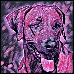 Picture of Rhodesian Ridgeback-Violet Femmes Mug