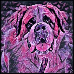 Picture of Saint Bernard-Violet Femmes Mug