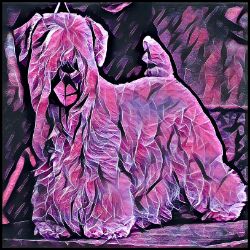 Picture of Sealyham Terrier-Violet Femmes Mug