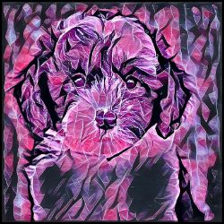 Picture of Sheepadoodle-Violet Femmes Mug