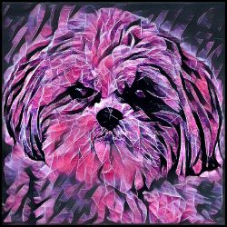 Picture of Shih Tzu-Violet Femmes Mug