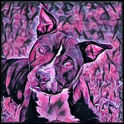 Picture of Staffordshire Bull Terrier-Violet Femmes Mug