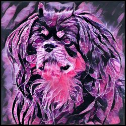 Picture of Tibetan Spaniel-Violet Femmes Mug