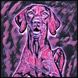 Picture of Vizsla-Violet Femmes Mug