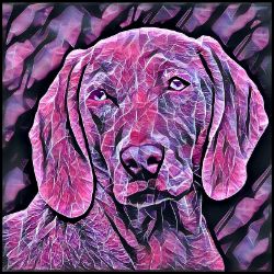 Picture of Weimaraner-Violet Femmes Mug