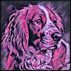 Picture of Welsh Springer Spaniel-Violet Femmes Mug