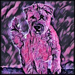 Picture of Wheaten Terrier-Violet Femmes Mug