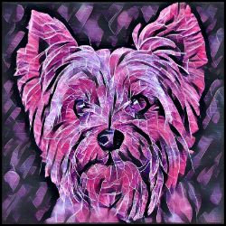 Picture of Yorkshire Terrier-Violet Femmes Mug