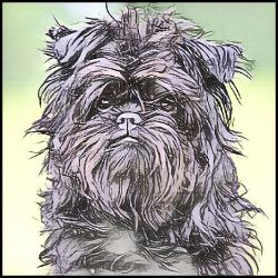 Picture of Affenpinscher-Penciled In Mug