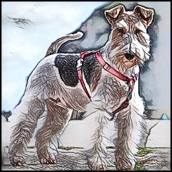Picture of Airedale Terrier-Penciled In Mug