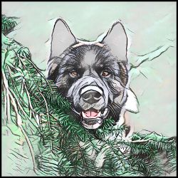 Picture of American Akita-Penciled In Mug