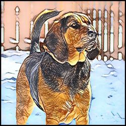 Picture of Bloodhound-Penciled In Mug