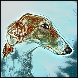 Picture of Borzoi-Penciled In Mug