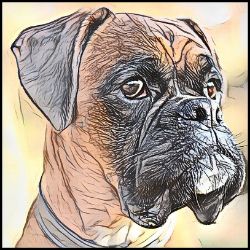 Picture of Boxer-Penciled In Mug