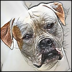 Picture of Bulldog-Penciled In Mug