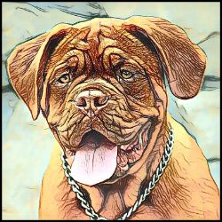 Picture of Dogue de Bordeux-Penciled In Mug