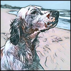 Picture of English Setter-Penciled In Mug
