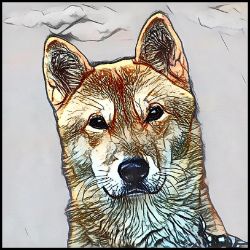 Picture of Jindo-Penciled In Mug