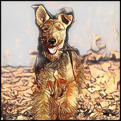 Picture of Welsh Terrier-Penciled In Mug