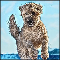 Picture of Wheaten Terrier-Penciled In Mug