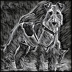 Picture of Airedale Terrier-Licorice Lines Mug