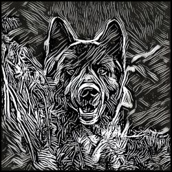 Picture of American Akita-Licorice Lines Mug