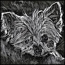 Picture of Australian Terrier-Licorice Lines Mug