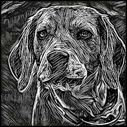 Picture of Beagle-Licorice Lines Mug