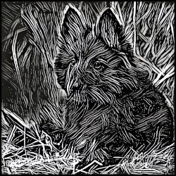 Picture of Belgian Sheepdog Belgian Shepherd-Licorice Lines Mug