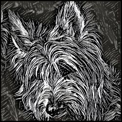 Picture of Berger Picard-Licorice Lines Mug