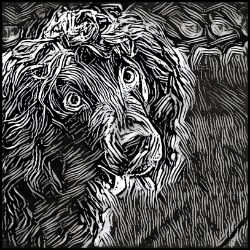 Picture of Boykin Spaniel-Licorice Lines Mug