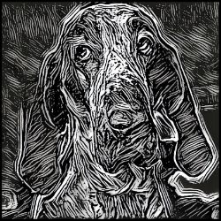 Picture of Bracco Italiano-Licorice Lines Mug