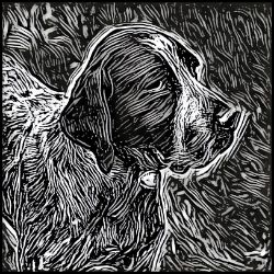 Picture of Braque francais Pyrenean-Licorice Lines Mug