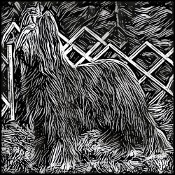 Picture of Briard-Licorice Lines Mug