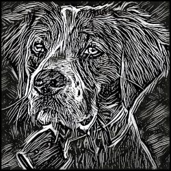 Picture of Brittany Spaniel-Licorice Lines Mug