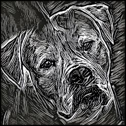 Picture of Bulldog-Licorice Lines Mug