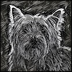 Picture of Cairn Terrier-Licorice Lines Mug